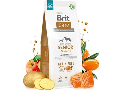 Picture of Brit Care Grain-Free Senior & light Dog Food Salmon